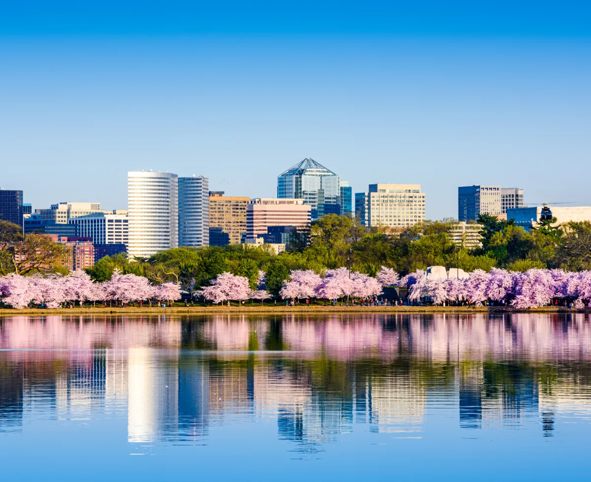 masthead washington dc