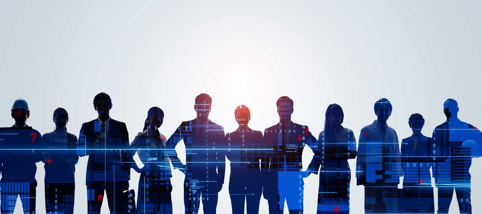 IT Team